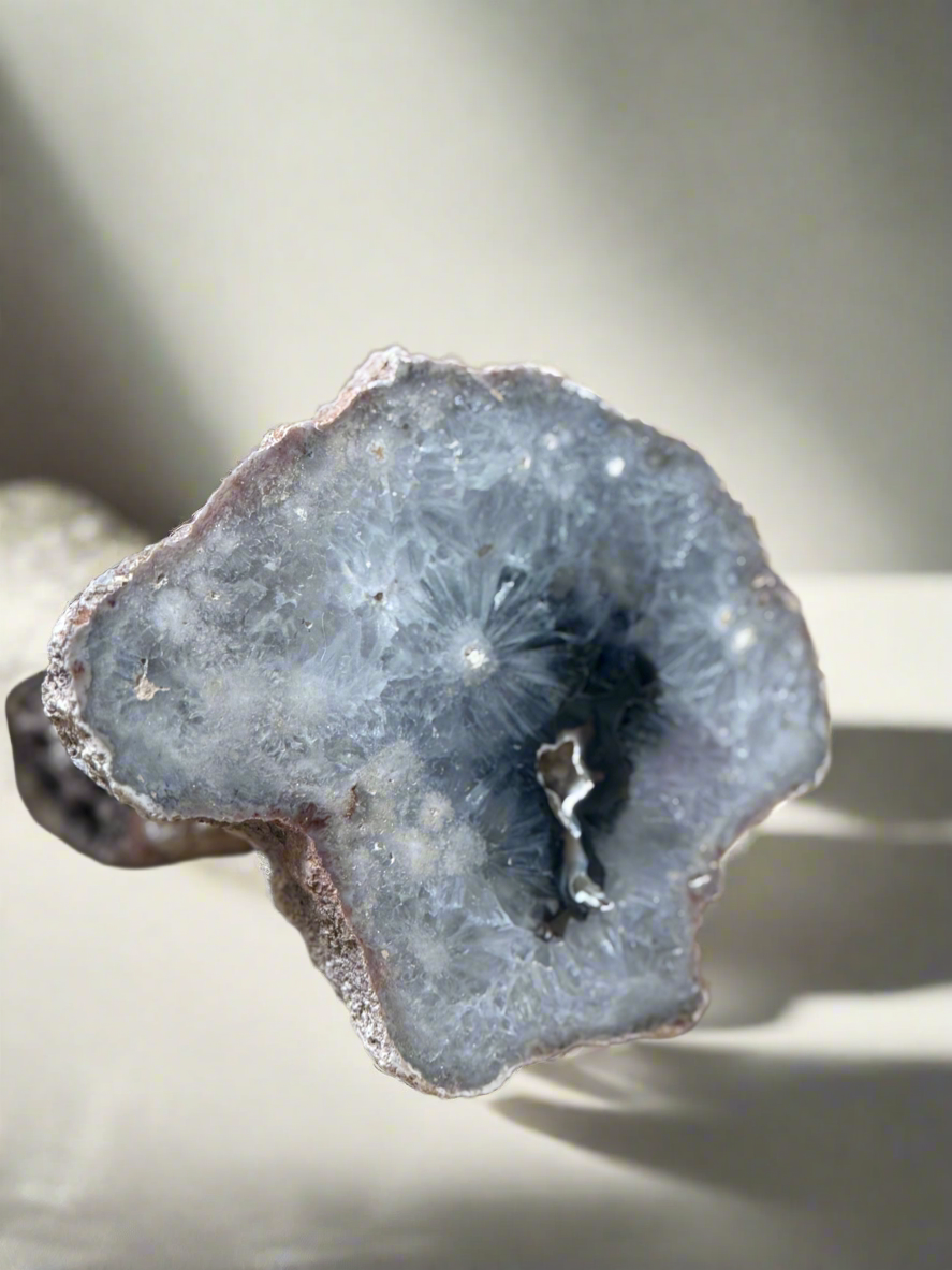 Agate Geode - Cut & Polished