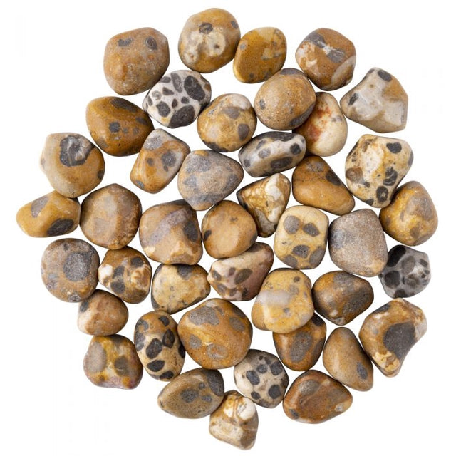 Leopardskin Jasper Tumblestone