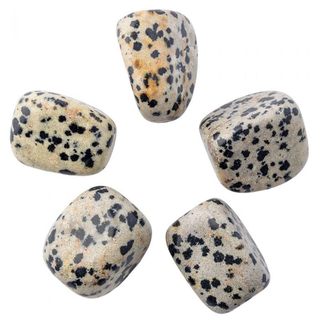 Dalmation Jasper Tumblestone