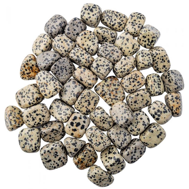 Dalmation Jasper Tumblestone