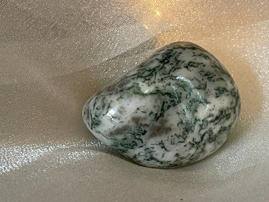 Tree Agate (XL)