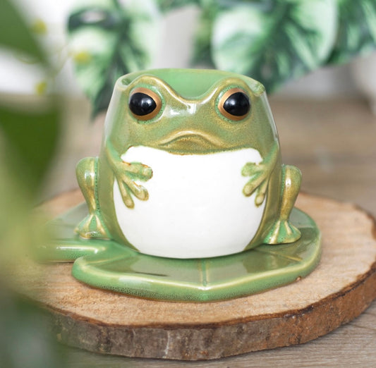 Frog Incense Burner