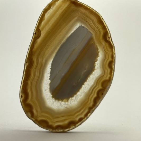 Agate Slice - Brown